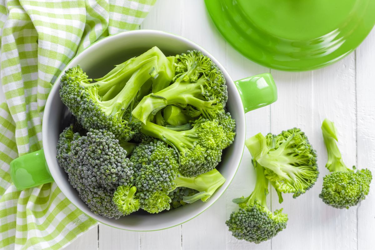 15 Delicious Vegan Broccoli Recipes That You Will Love