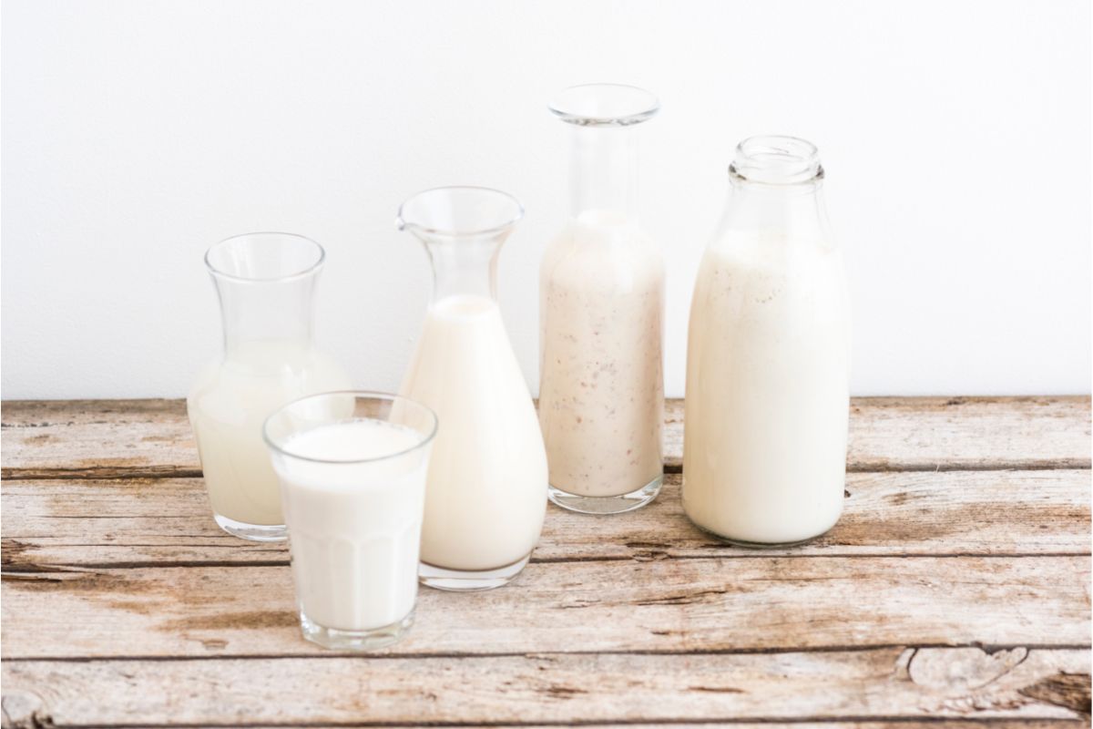 Which Vegan Plant-Based Milk Has The Most Protein?