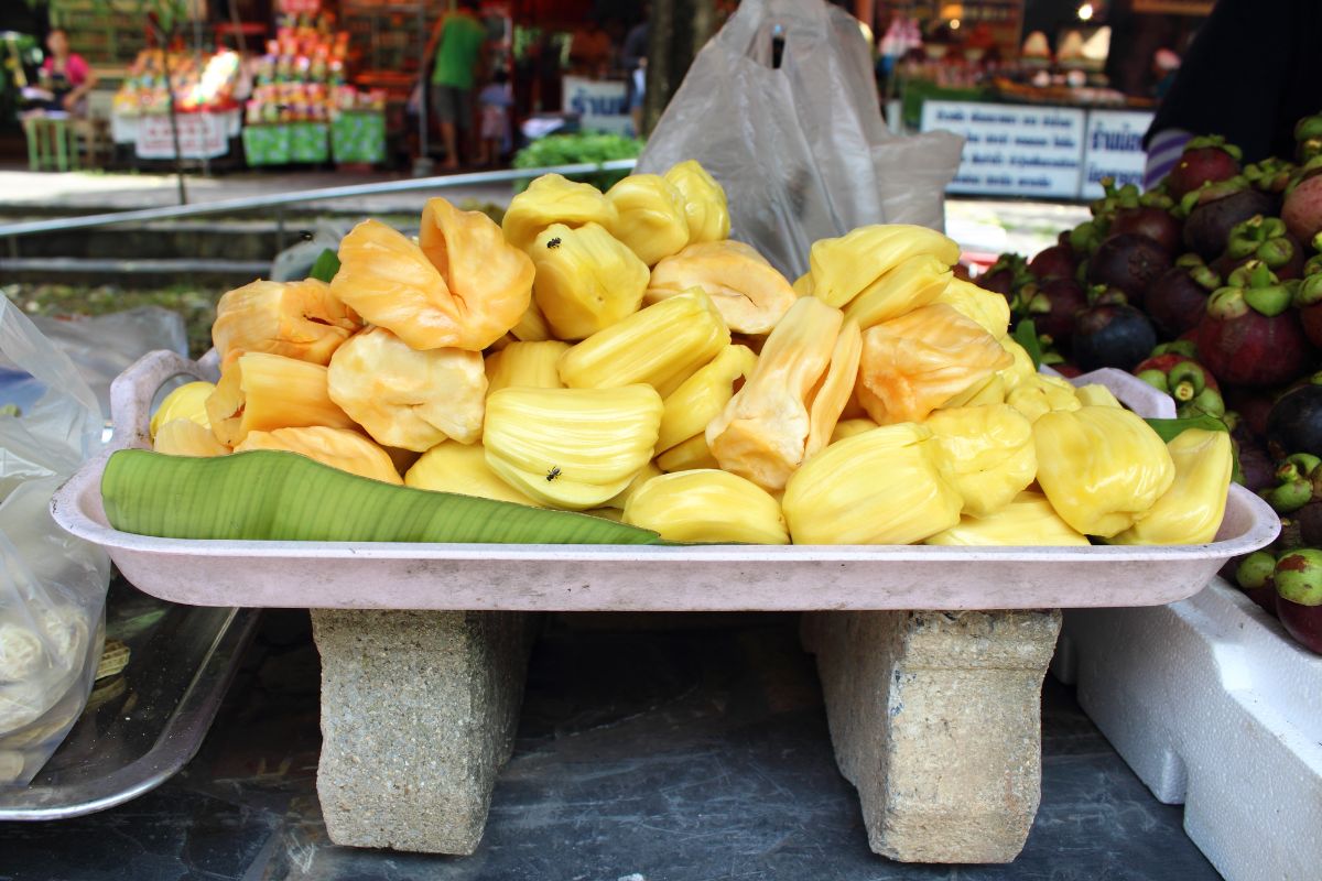 Where To Buy Jackfruit And Find It At The Grocery Store 